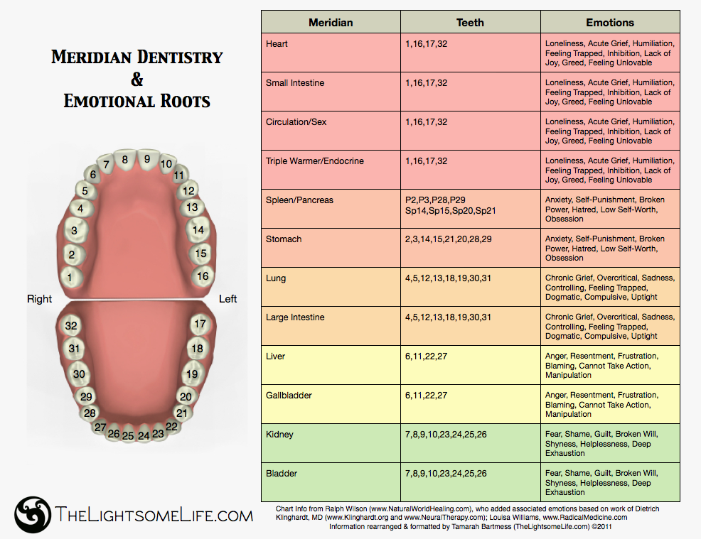 dental-meridians