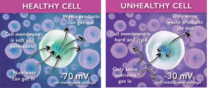 healthy unhealthy cell