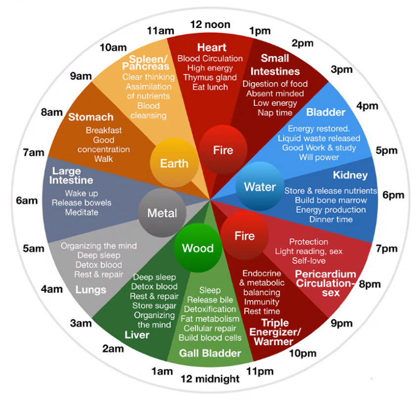 internal meridians body clock