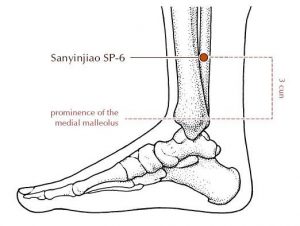 sp-6