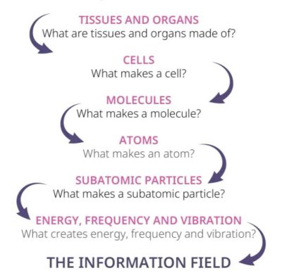 tissues organs information field
