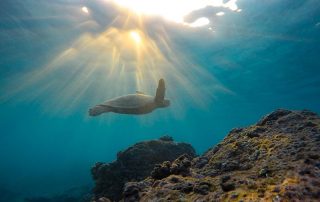 hawaiian prayer