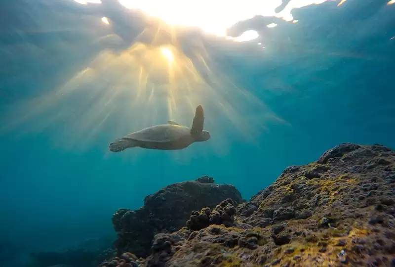 hawaiian prayer