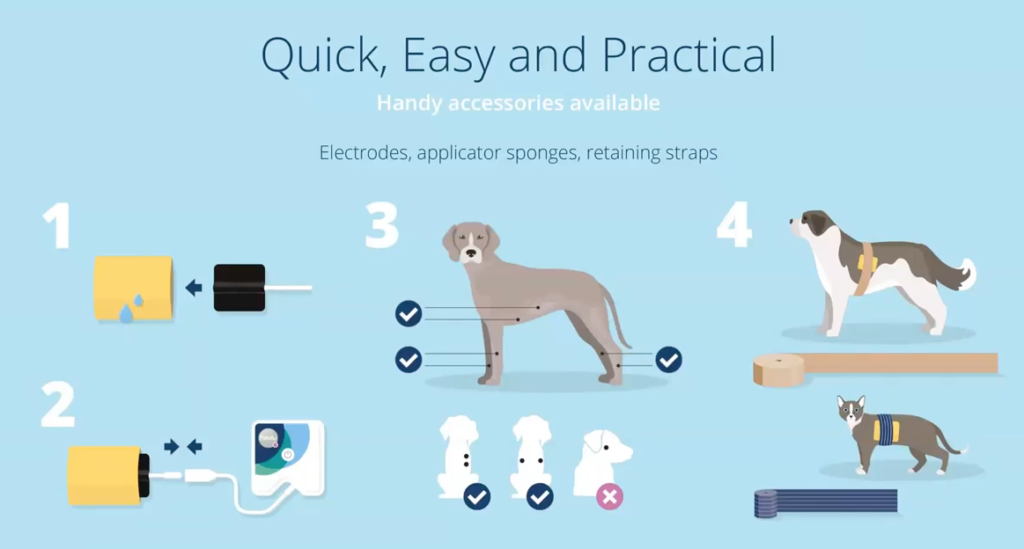 animal accessories