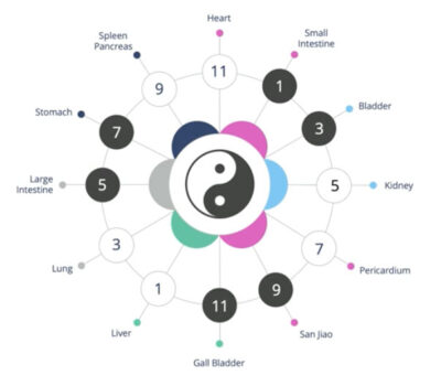 deep cycle yin yang clock