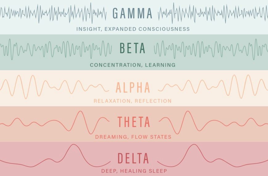 brain waves