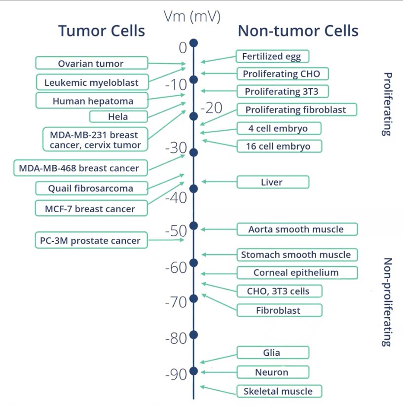 tumor nontumor voltage